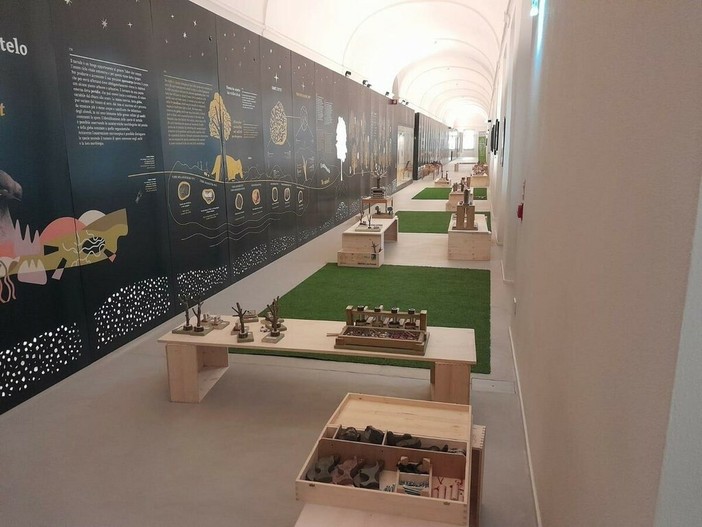 “Il tartufo è una chiave per parlare di ambiente”: il Mudet di Alba apre alle scuole con il progetto Sottobosco