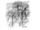 All'ombra delle palme tagliate: a Ormea la le poesie di Marino Magliani e i disegni Sergio Biancheri All'ombra delle palme tagliate: a Ormea la le poesie di Marino Magliani e i disegni Sergio Biancheri