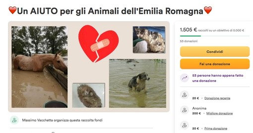 Parte dalla Granda la raccolta fondi per aiutare gli animali dell'Emilia Romagna