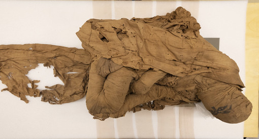 A Bra prorogata la mostra che racconta i segreti di una mummia egizia di 4500 anni