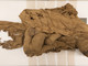 A Bra prorogata la mostra che racconta i segreti di una mummia egizia di 4500 anni