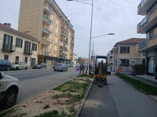 Saluzzo, la messa a dimora della nuova alberata in via Savigliano