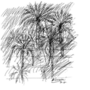 All'ombra delle palme tagliate: a Ormea la le poesie di Marino Magliani e i disegni Sergio Biancheri All'ombra delle palme tagliate: a Ormea la le poesie di Marino Magliani e i disegni Sergio Biancheri