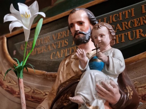 Schegge di luce: pensieri sui Vangeli festivi di don Sebastiano Bergerone