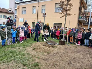 Saluzzo, Festa degli alberi 2025 Saluzzo, Festa degli alberi 2025