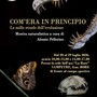 A Sampeyre la mostra “Com’era in principio: le mille strade dell’evoluzione” A Sampeyre la mostra “Com’era in principio: le mille strade dell’evoluzione”