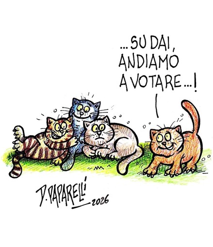 Oggi è tornata elettorale in molte zone della Granda Oggi è tornata elettorale in molte zone della Granda