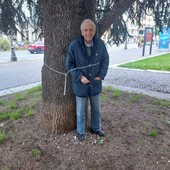 Cuneo, Sturlese s'incatena ai cedri di piazza Europa: "Li si abbatte per vendetta" Cuneo, Sturlese s'incatena ai cedri di piazza Europa: "Li si abbatte per vendetta"
