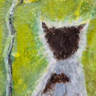 Saluzzo, “Tracce di Antonella, Tracce di Parkinson” porta arte e informazione sul territorio Saluzzo, “Tracce di Antonella, Tracce di Parkinson” porta arte e informazione sul territorio