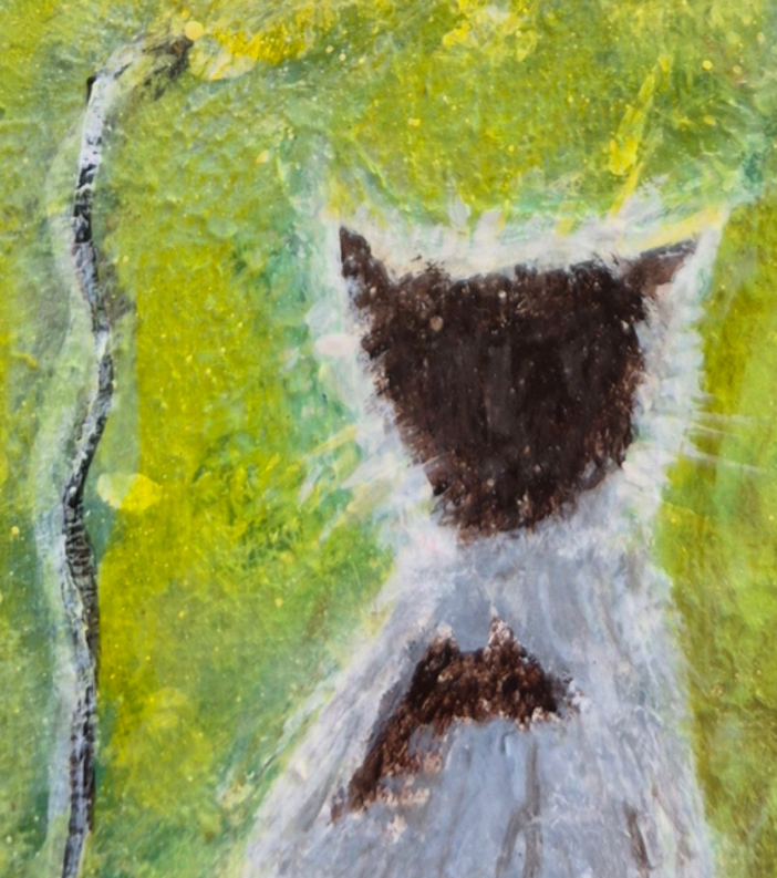 Saluzzo, “Tracce di Antonella, Tracce di Parkinson” porta arte e informazione sul territorio Saluzzo, “Tracce di Antonella, Tracce di Parkinson” porta arte e informazione sul territorio