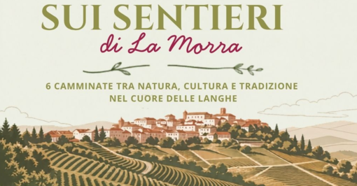 “Ber to Ber”: al tramonto tra colline, erbe e api alla Morra “Ber to Ber”: al tramonto tra colline, erbe e api alla Morra