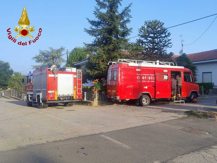 Squadre dei vigili del fuoco impegnate nelle ricerche