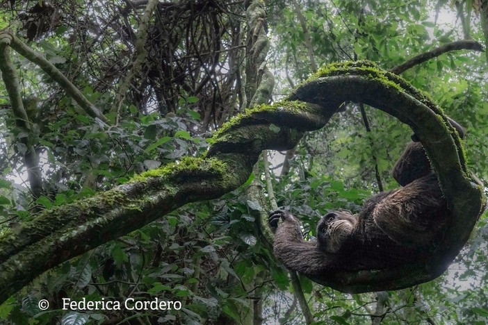 A Dogliani la mostra fotografica “Il Respiro della Terra” di Federica Cordero A Dogliani la mostra fotografica “Il Respiro della Terra” di Federica Cordero