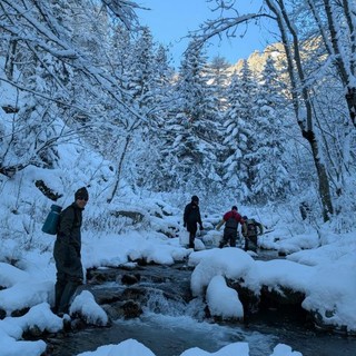Il personale della Provincia in Valle Stura per il prelievo dei gameti delle trote fario di ceppo mediterraneo