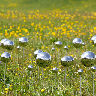 Stefano Caimi, "Fairy Ring" Stefano Caimi, "Fairy Ring"