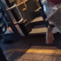 Autista nega l'accesso al bus a una quattordicenne: "Io faccio salire solo gli italiani" Autista nega l'accesso al bus a una quattordicenne: "Io faccio salire solo gli italiani"