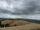 L'area in cui saranno innestati gli ulivi, nei pressi di Santa Rosalia