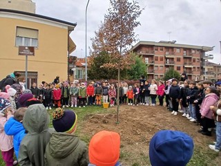 Saluzzo, Festa degli alberi 2025 Saluzzo, Festa degli alberi 2025