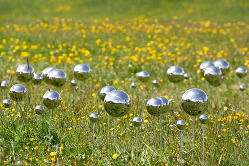 Stefano Caimi, "Fairy Ring" Stefano Caimi, "Fairy Ring"