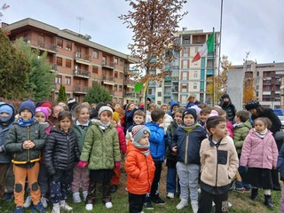 Saluzzo, Festa degli alberi 2025 Saluzzo, Festa degli alberi 2025