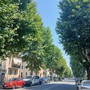 Saluzzo, corso IV Novembre dove si è aperto il co-housing "La casa di Adalgisa" Saluzzo, corso IV Novembre dove si è aperto il co-housing "La casa di Adalgisa"