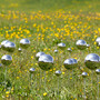 Stefano Caimi, "Fairy Ring" Stefano Caimi, "Fairy Ring"