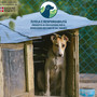 Il progetto per l'educazione e il benessere dei cani in Val Tanaro si conclude con una campagna una campagna di sensibilizzazione diffusa Il progetto per l'educazione e il benessere dei cani in Val Tanaro si conclude con una campagna una campagna di sensibilizzazione diffusa