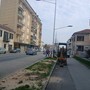 Saluzzo, la messa a dimora della nuova alberata in via Savigliano
