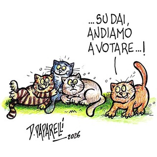 Oggi è tornata elettorale in molte zone della Granda