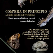 A Sampeyre la mostra “Com’era in principio: le mille strade dell’evoluzione” A Sampeyre la mostra “Com’era in principio: le mille strade dell’evoluzione”