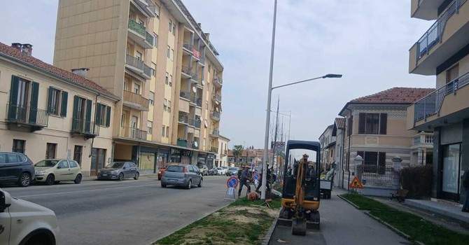 Saluzzo, la messa a dimora della nuova alberata in via Savigliano Saluzzo, la messa a dimora della nuova alberata in via Savigliano