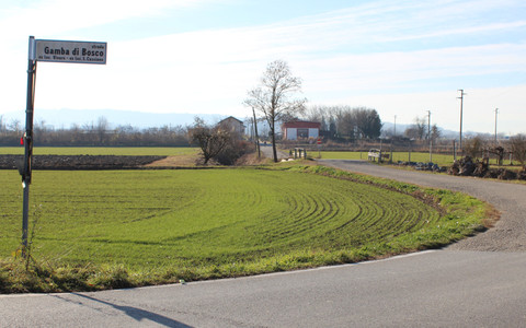 Alba, Strada Gamba di Bosco: sospensione tecnica del TAR, il Comune recepisce le indicazioni