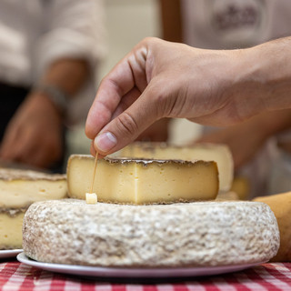 Presentato in Regione Cheese 2025: il mondo del latte crudo tra gusto, territori e futuro 