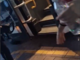Fossano, studentessa fatta scendere dal bus. ORA! Piemonte: "Si accertino i fatti, l'autista chieda scusa" Fossano, studentessa fatta scendere dal bus. ORA! Piemonte: "Si accertino i fatti, l'autista chieda scusa"