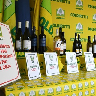 Classifica Coldiretti, Nebbiolo nella top 10 dei vini per crescita delle vendite in Italia: +8,9% nel 2024