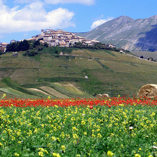 Terreni montani, l’Assemblada Occitana Valades: “Tagliare burocrazia e costi per favorire le compravendite tra valligiani”