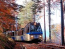 In foto il Treno del Foliage
