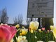 Alba: 3mila bulbi di tulipano donati alla città dal Castello di Pralormo