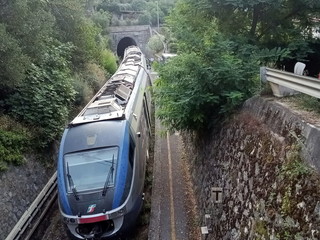 Il treno fermo alla stazione di Airole (foto dal gruppo "Osservatorio Ferrovia del Tenda") Il treno fermo alla stazione di Airole (foto dal gruppo "Osservatorio Ferrovia del Tenda")