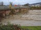 Il Tanaro in piena durante i giorni dell'alluvione 2016 (Foto Campigotto, Comune di Alba)