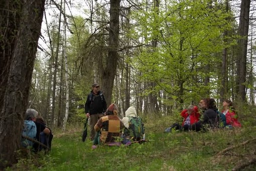 A Stroppo il primo appuntamento con il Laboratorio di terapia forestale