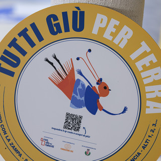 Aperta la seconda edizione del bando "Tutti giù per terra" Aperta la seconda edizione del bando "Tutti giù per terra"