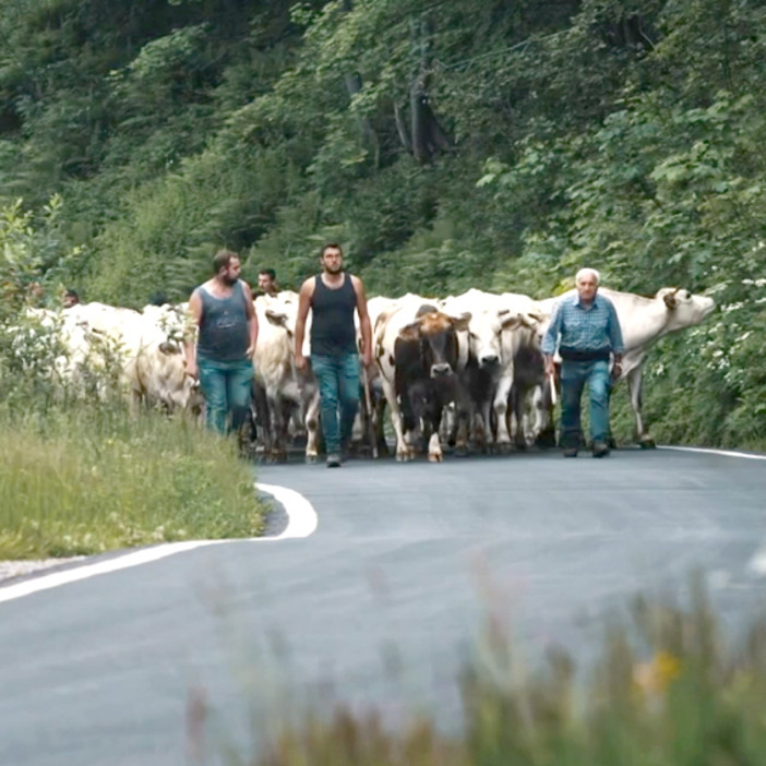 Una scena dal film-doc della Rai “Transumanza: il ritorno a casa” Una scena dal film-doc della Rai “Transumanza: il ritorno a casa”