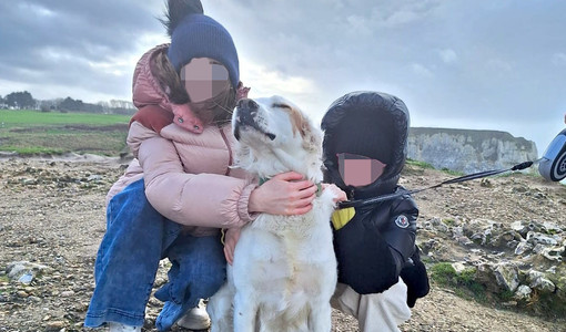 Ted insieme alle sue padroncine: il cane venne ucciso con una fucilata nel maggio 2024