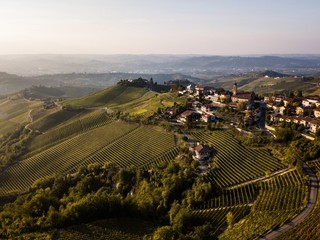 Una veduta di Treiso, nelle Langhe (archivio Ente Turismo Lmr) Una veduta di Treiso, nelle Langhe (archivio Ente Turismo Lmr)