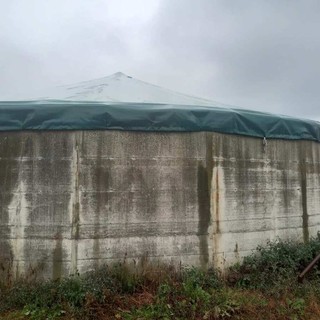 Effluenti zootecnici, Busso (Cia Cuneo): "Occhio alla scadenza del bando che finanzia le strutture di stoccaggio e la distribuzione in campo"