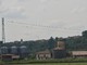Uccelli appollaiati sui fili elettrici nella campagna di Bra Uccelli appollaiati sui fili elettrici nella campagna di Bra