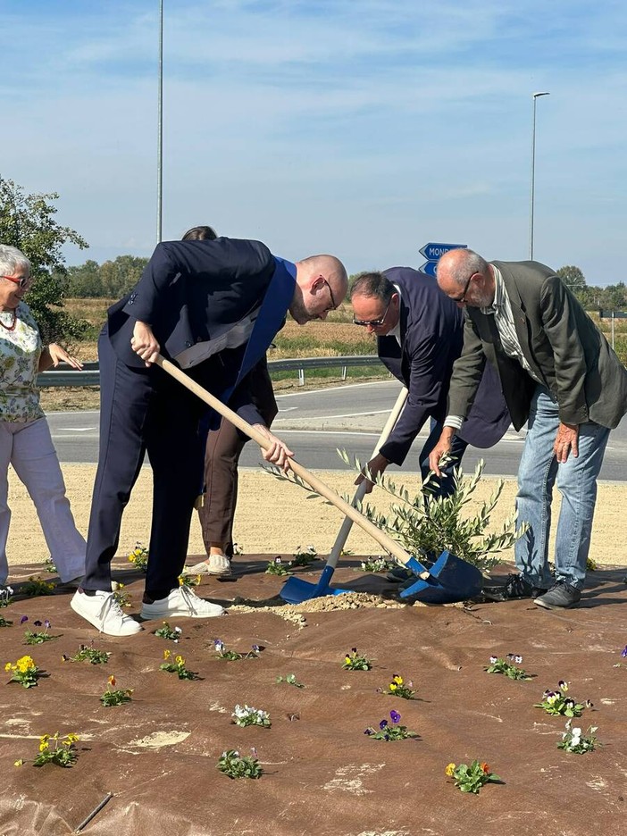 La piantumazione dell'ulivo nella rotatoria di via Otteria La piantumazione dell'ulivo nella rotatoria di via Otteria