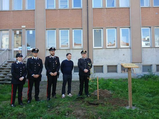 La piantumazione dell'Albero della Salute davanti all'Ospedale di Saluzzo La piantumazione dell'Albero della Salute davanti all'Ospedale di Saluzzo