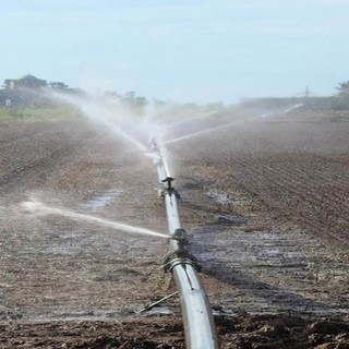 “Bene la Regione sul supplemento di gasolio agricolo a prezzo agevolato per la siccità, ma non basta”